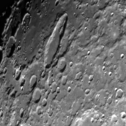 Schiller Hainzel Schiller Hainzel