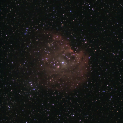 NGC2175 - Testa di scimmia