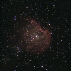 NGC2175 - Testa di scimmia NGC2175 - Testa di scimmia