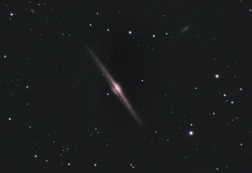 NGC4565